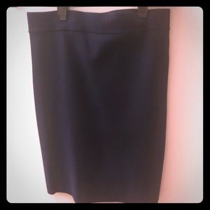 Alexander Wang Navy Skirt